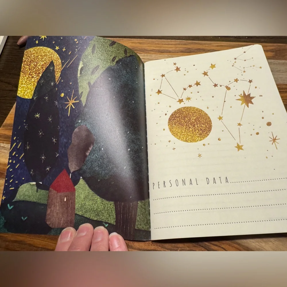 3 for $15 Bruno Visconti Soft Touch The Wolf Cub and the Moon Journal A5 NEW